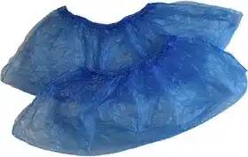 Фото Бахилы