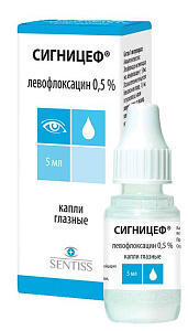 Фото Сигницеф