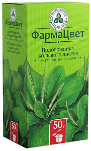 Фото Подорожника большого листья